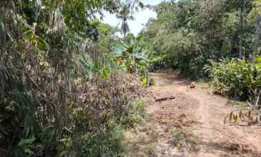 bismillah dijual cepat tanah murah