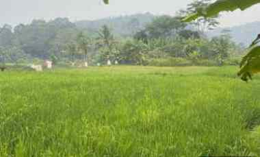 BU Cepat Tanah Sawah Produktif