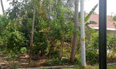 bu jual tanah sawah
