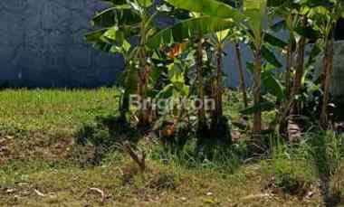 Buyer Only Turun Harga Kavling Araya 2 Murah