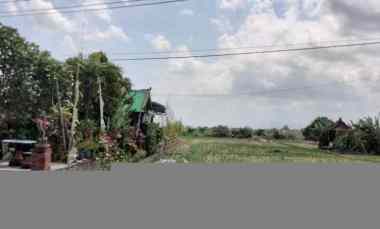 Dijual 17 are, jl. Raya Tanah Lot Beraban Kediri Tabanan