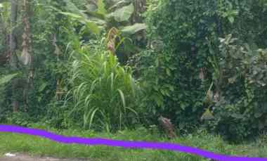 Dijual 2 are, jl. Kaba Kaba Kediri Tabanan