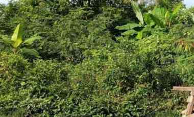 Dijual 2 are, jl. Veteran Buduk Pererenan Mengwi Badung