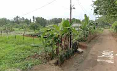 Dijual 2 Dua Kavling Tanah Darat