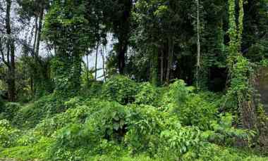 dijual 3 are jl pantai nyanyi beraban kediri tabanan