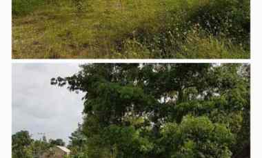 Dijual Cepat Tanah 7,2 Ha SHM Legok