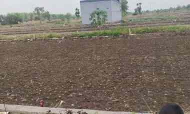 Dijual Cepat Tanah di Balongsri Desa Lampah Kedamean