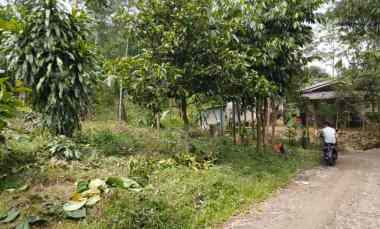 Dijual Cepat Tanah Murah