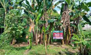 Dijual / Disewakan Tanah Strategis