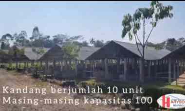 Dijual Kandang Sapi 6 Hektar di Subang Jabar