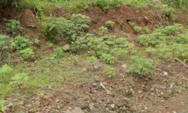 Dijual Kavling 4 Berjejeran di Bukit Sari Semarang