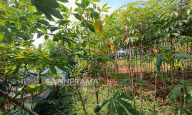 Tanah Dijual di Jln raya grogol depok