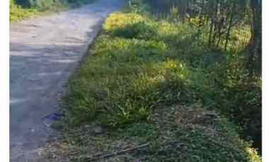 Dijual Kebun Murah di Jasinga Bogor