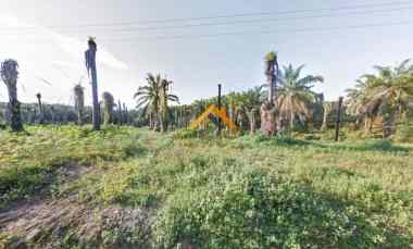 Dijual Kebun Sawit Daerah Gohor Lama - Langkat