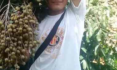 Tanah Dijual di desa taman jaya sukabumi