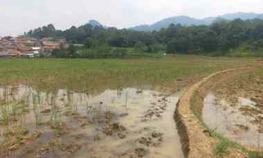 Dijual Murah Tanah 3,2 Hektar SHM