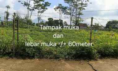 Dijual Murah Tanah Shm Tanjungsari Kab. Sumedang