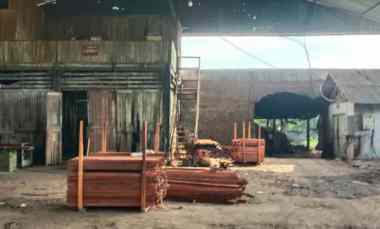 Dijual Pabrik Pemotongan Kayu Masih Aktif