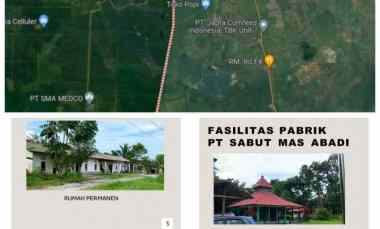 dijual pabrik sawit dan kebun di kalimantan tengah
