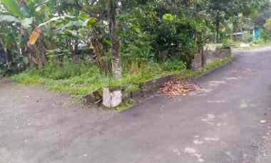 Tanah Dijual di sukorini manisrenggo