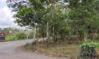 Dijual Pekarangan Sukorini Manisrenggo