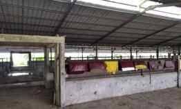 Bangunan Eks-Kandang Sapi LB 6000 m2 LT 2 Ha, Palasah, Majalengka