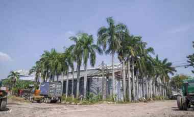 Dijual Gudang Hook di Jalan Agung Karya Sunter, Jakarta Utara