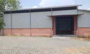 Jual Gudang Kosong Siap Pakai di Raya Tegalrejo Lamongan