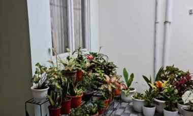 Rumah Dijual di Cihideung Bandung