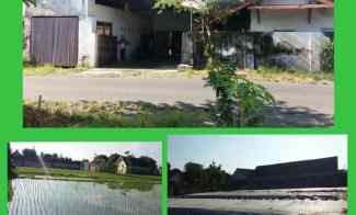 dijual rumah banyuwangi