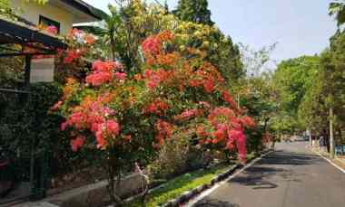 Jual Rumah Bagus di Komplek Bukit Cemara Tujuh Kota Malang