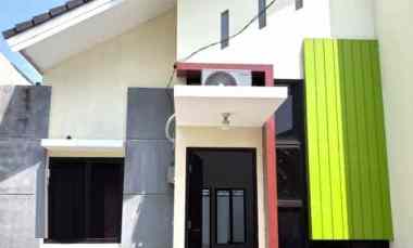 dijual rumah cluster ebony green ara