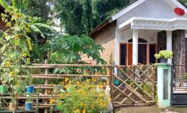 dijual rumah di wringinsongo