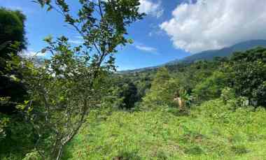 dijual rumah gunung geulis bukit