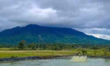 Rumah Dijual di Jalan raya mandalawangi pandeglang banten