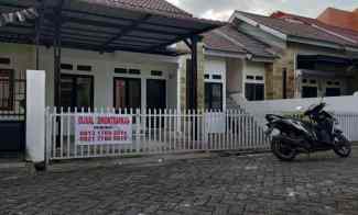 Dijual Nego Sampe Jadi Palma Residence,Kamar 8/KM 3,LB 125/LT 134