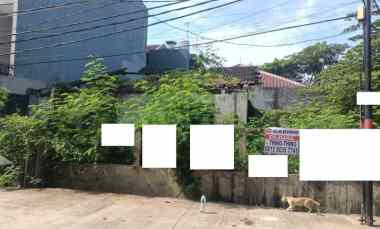 dijual rumah kelapa hibrida kelapa gading