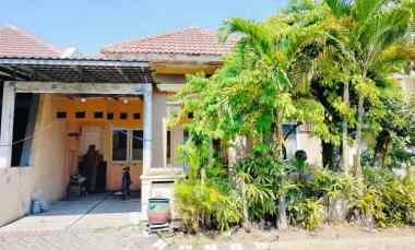 dijual rumah palm spring regency