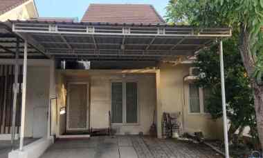 dijual rumah palma classica citraland