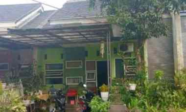 dijual rumah sawah lama