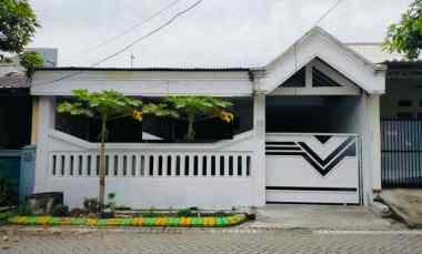 dijual rumah wisma lidah kulon