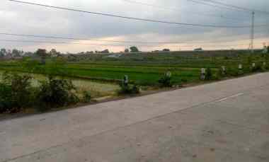 Dijual Sawah Hijau Kebonarum Mangku Jln Klaten - Ngupit