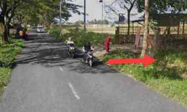 dijual sawah produktif kepanjen malang jawa timur