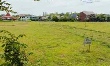 dijual sebidang sawah di kasongan