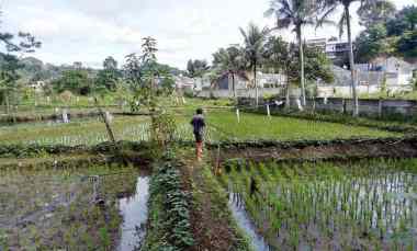 dijual sebidang tanah di cimahi selatan