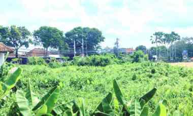 dijual tanah 1500 m2 di mengwi badung bali