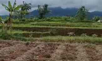 Dijual Tanah 2 Ha di ParakanSalak Sukabumi Jawa Barat