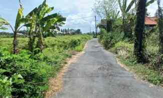 Dijual Tanah 242 m2 jl Pantai Purnama Gianyar Bali