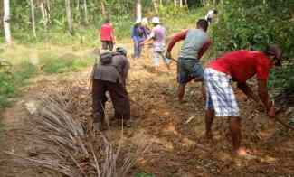 dijual tanah 85 ha di pandeglang banten