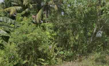dijual tanah 85vr wm9 kepayang kab